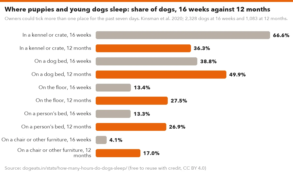 Where puppies and young dogs sleep: share of dogs, 16 weeks against 12 months
