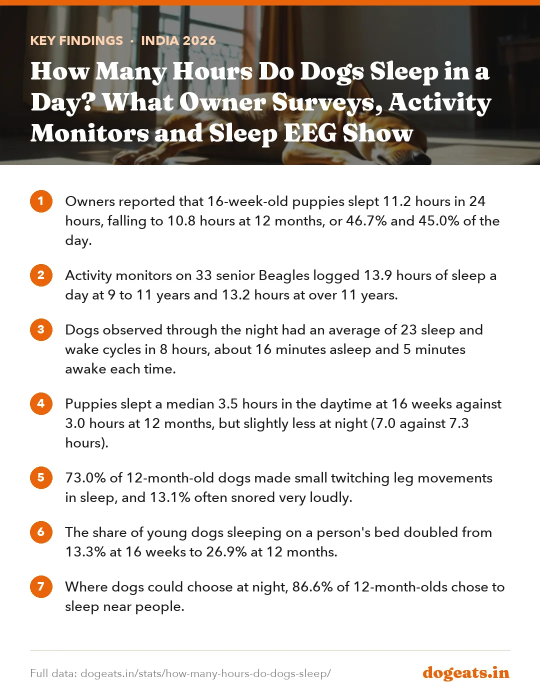 Key findings: How Many Hours Do Dogs Sleep in a Day? What Owner Surveys, Activity Monitors and Sleep EEG Show