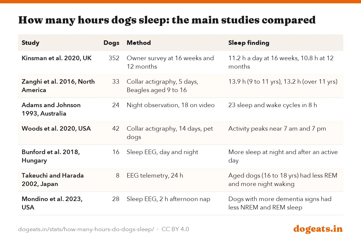 How many hours dogs sleep: the main studies compared