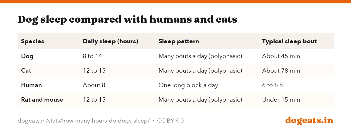 Dog sleep compared with humans and cats