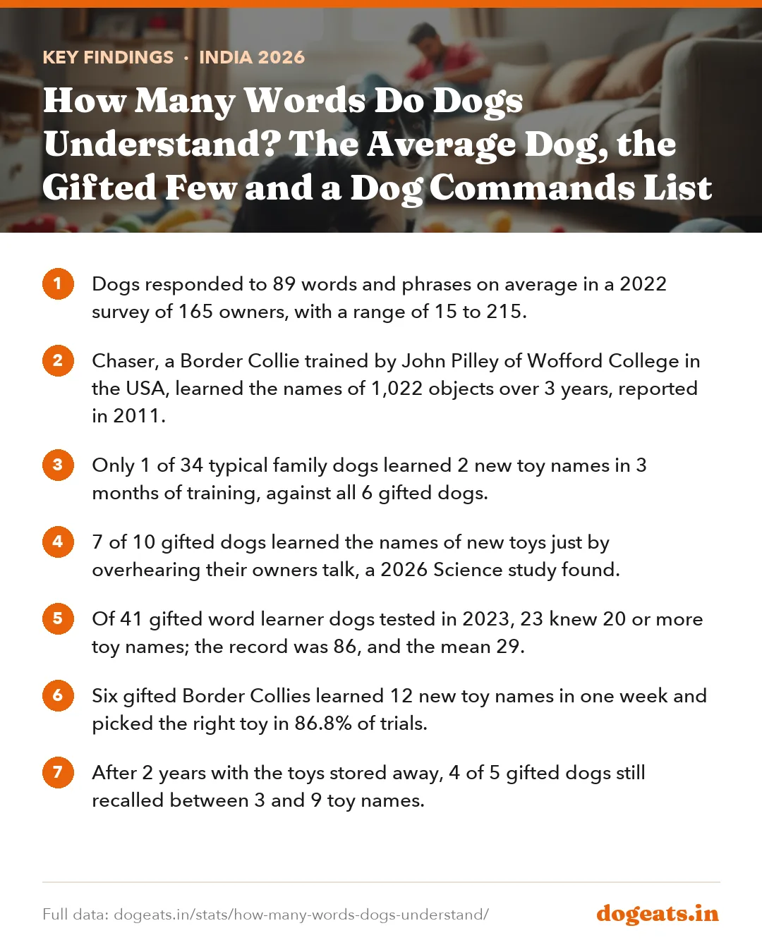 Key findings: How Many Words Do Dogs Understand? The Average Dog, the Gifted Few and a Dog Commands List