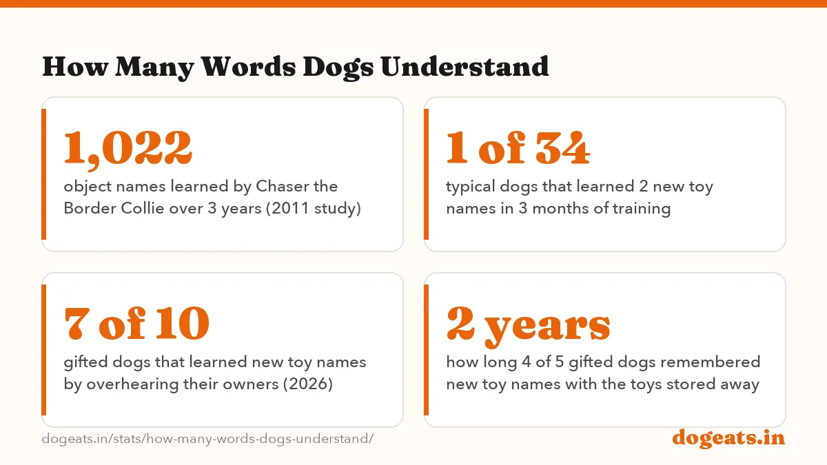 How Many Words Dogs Understand: 89 words average a dog responds to, in a 2022 survey of 165 owners