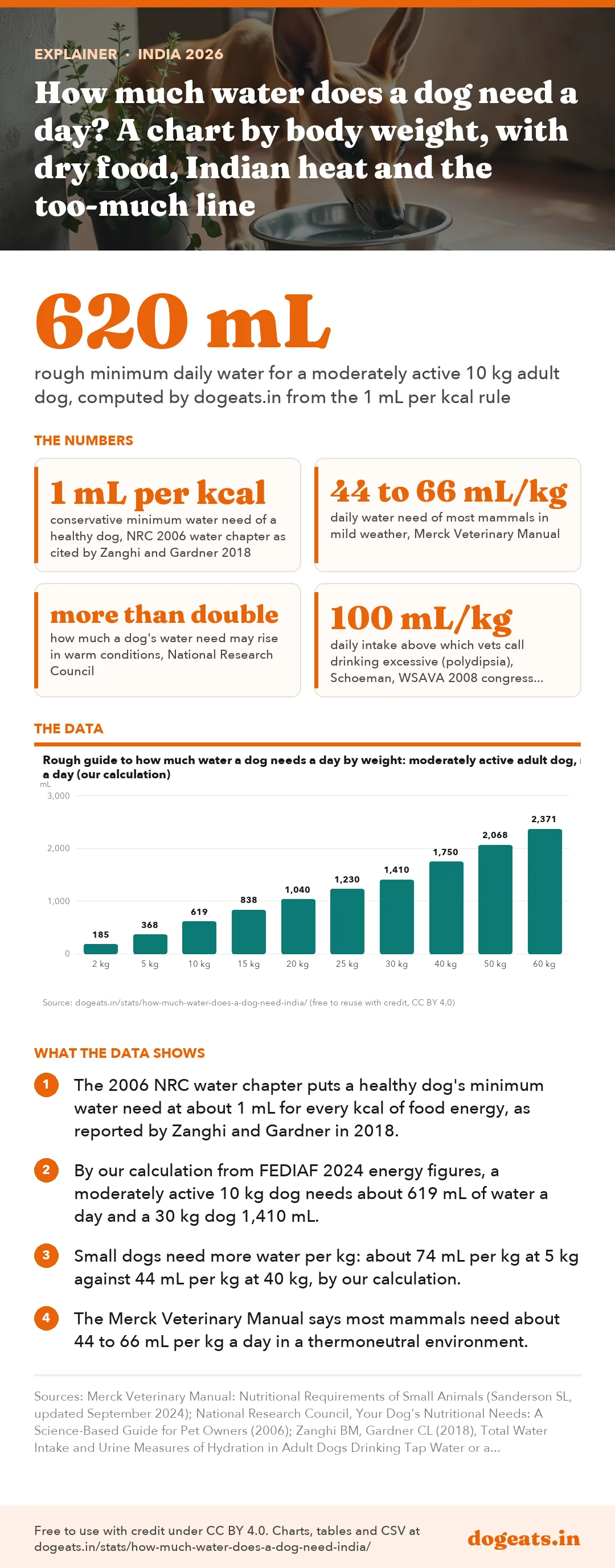 Infographic: How much water does a dog need a day? A chart by body weight, with dry food, Indian heat and the too-much line