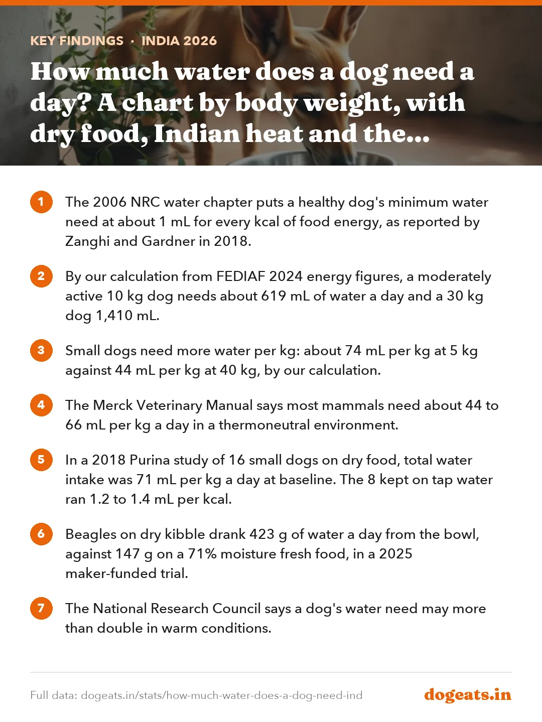 Key findings: How much water does a dog need a day? A chart by body weight, with dry food, Indian heat and the too-much line