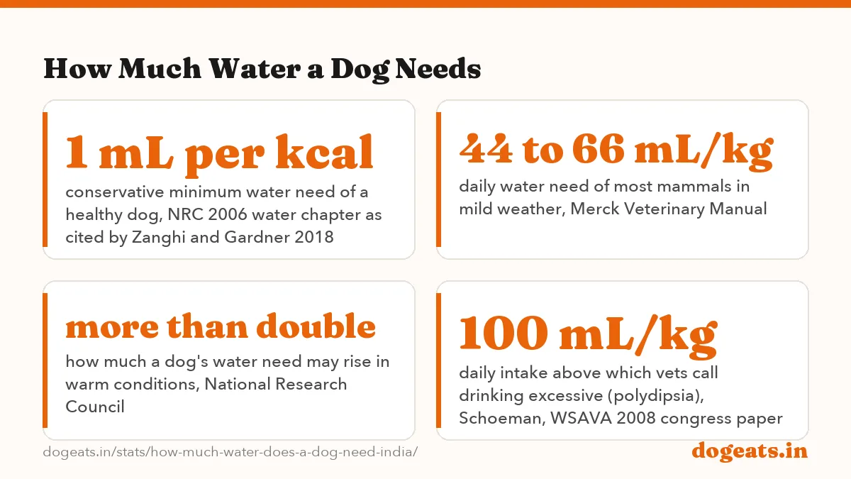 How Much Water a Dog Needs: 620 mL rough minimum daily water for a moderately active 10 kg adult dog, computed by