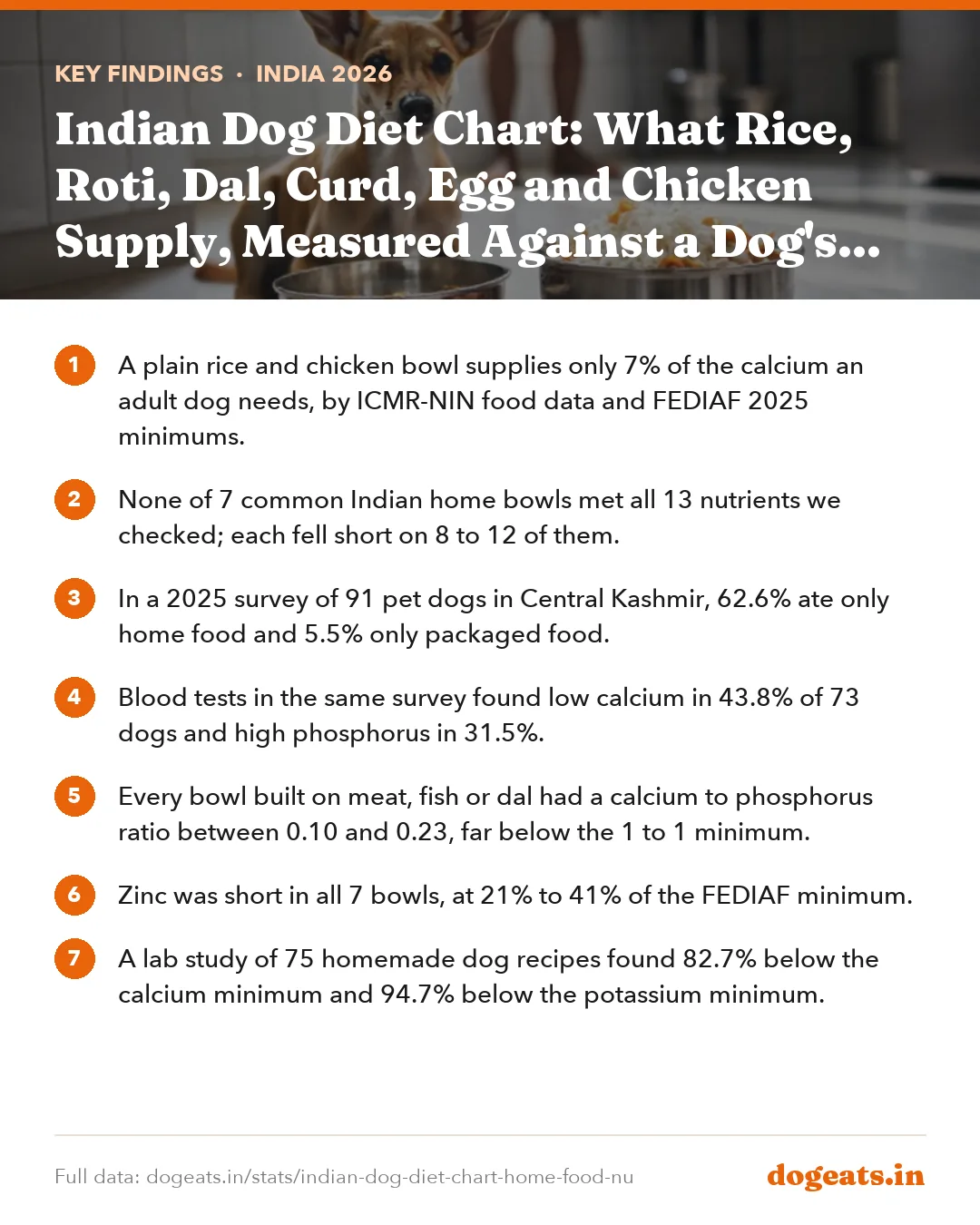 Key findings: Indian Dog Diet Chart: What Rice, Roti, Dal, Curd, Egg and Chicken Supply, Measured Against a Dog's Daily Needs