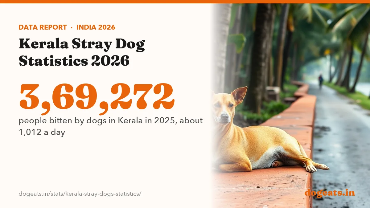 3,69,272 people bitten by dogs in Kerala in 2025, about 1,012 a day