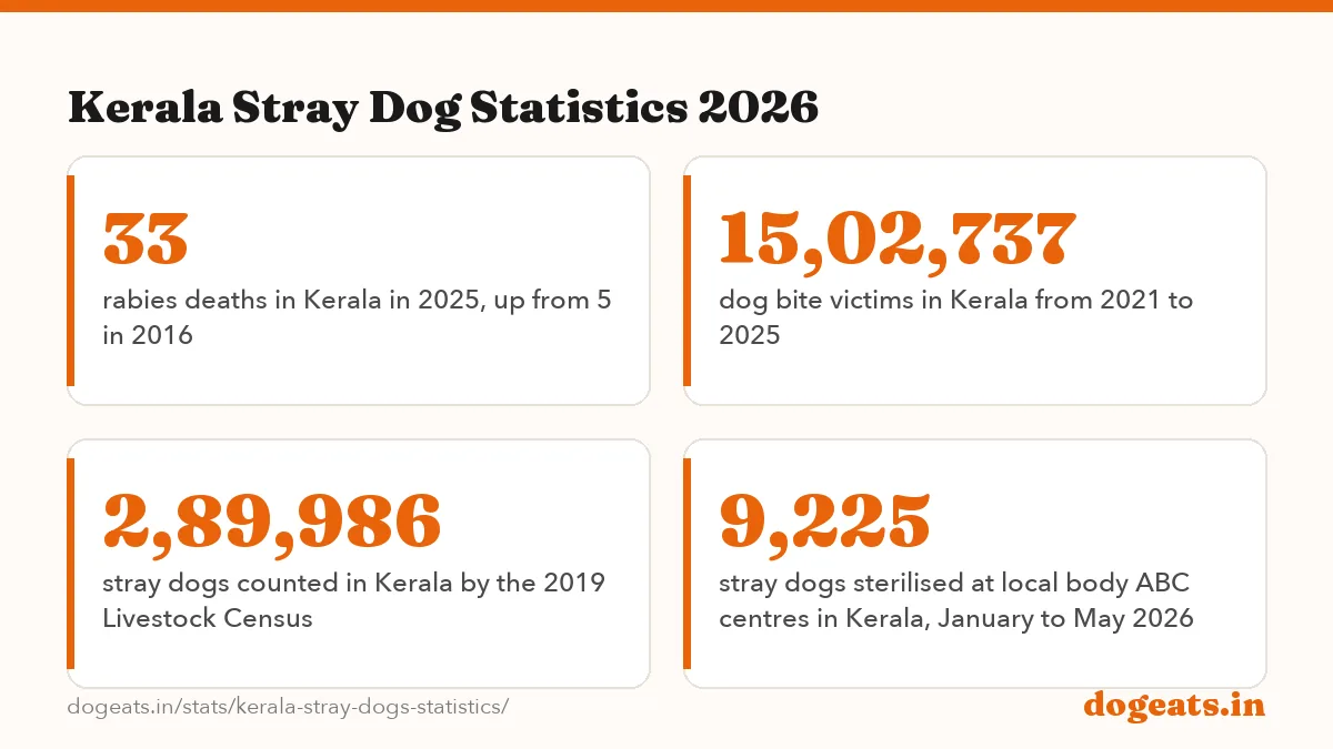 Kerala Stray Dog Statistics 2026: the numbers