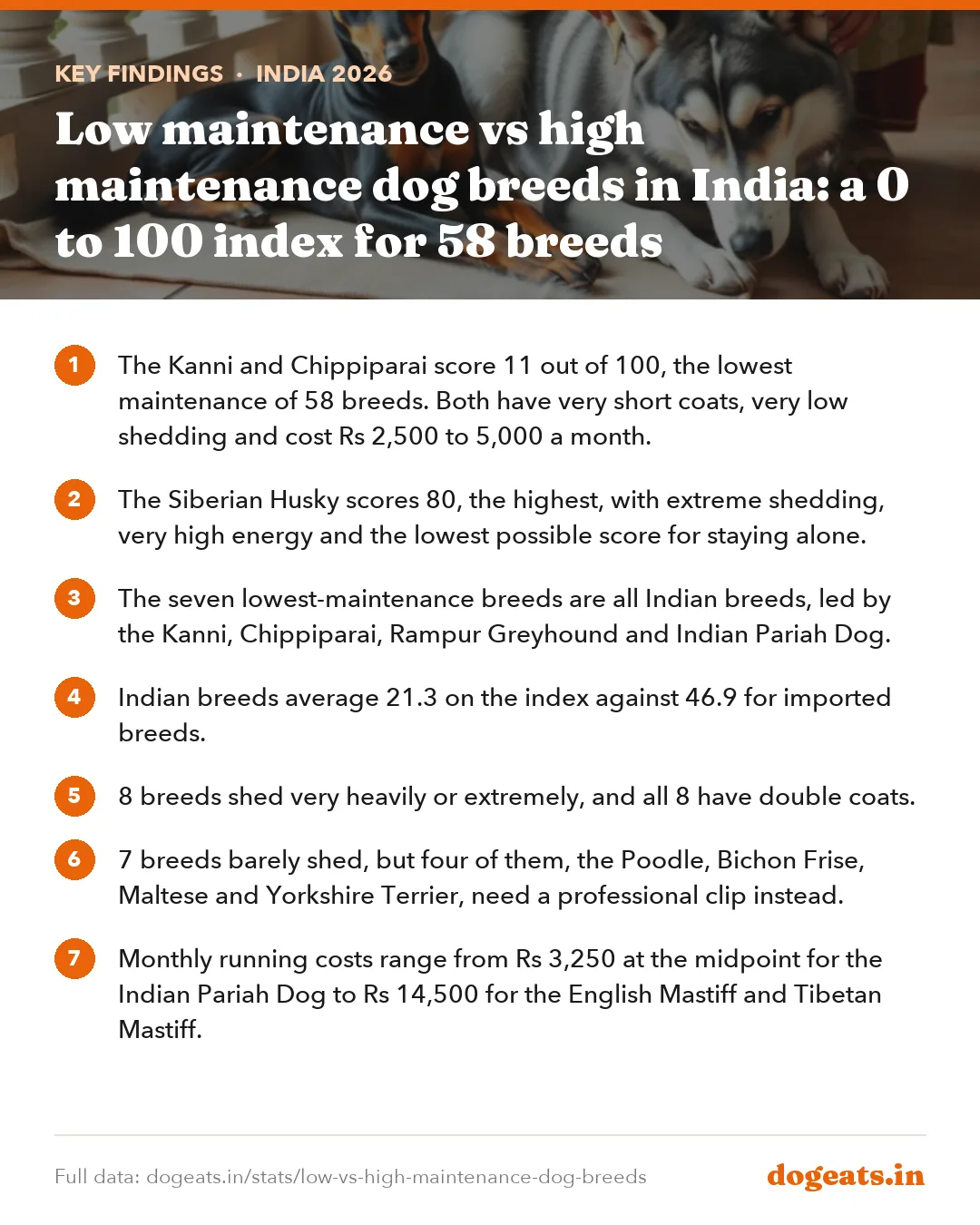 Key findings: Low maintenance vs high maintenance dog breeds in India: a 0 to 100 index for 58 breeds