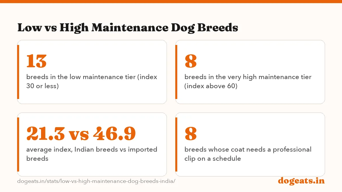 Low vs High Maintenance Dog Breeds: the numbers