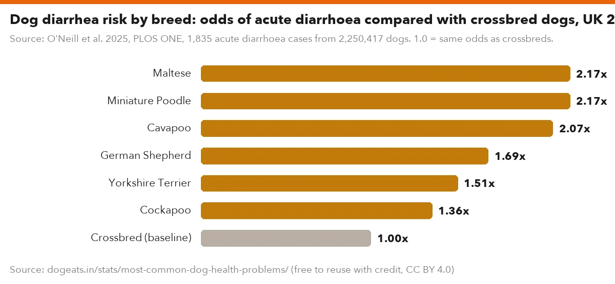 Dog diarrhea risk by breed: odds of acute diarrhoea compared with crossbred dogs, UK 2019
