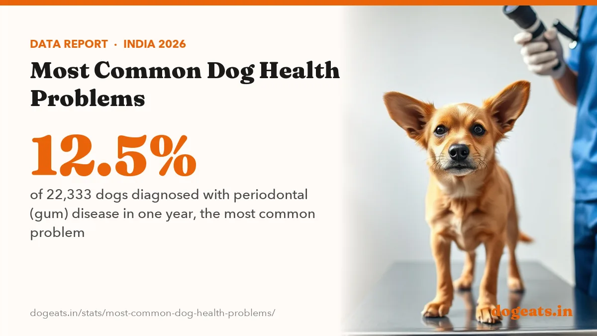 12.5% of 22,333 dogs diagnosed with periodontal (gum) disease in one year, the most common problem