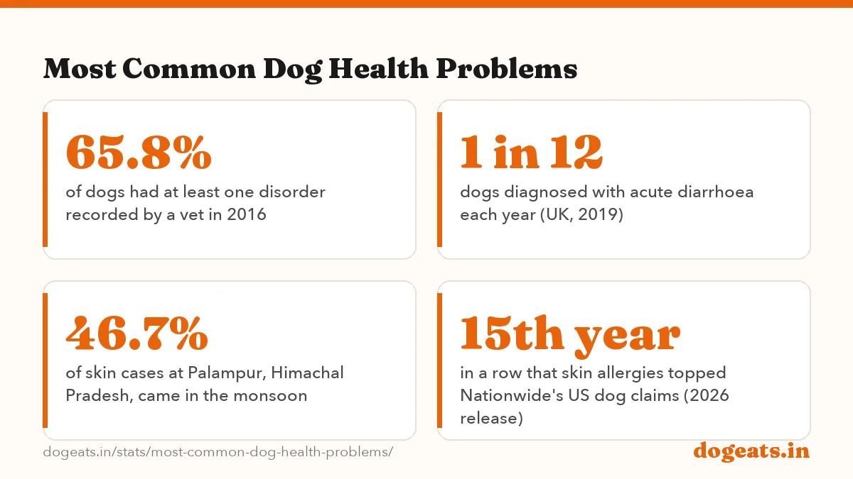 Most Common Dog Health Problems: 12.5% of 22,333 dogs diagnosed with periodontal (gum) disease in one year, the most common problem