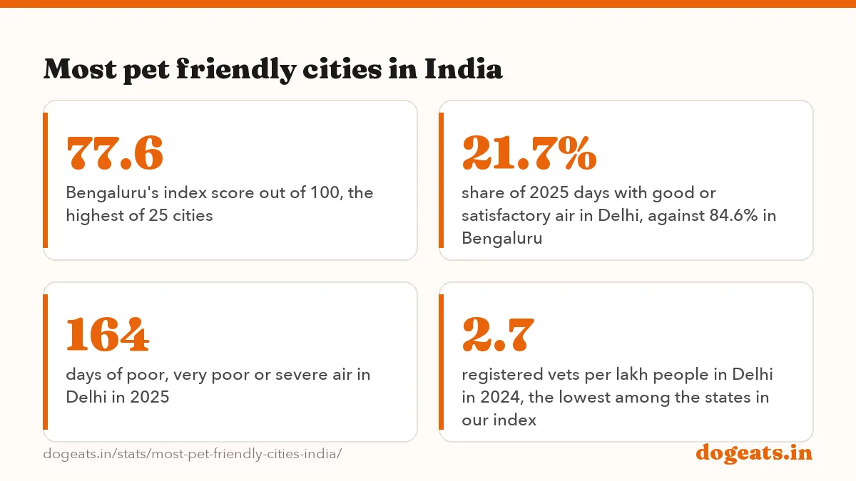 Most pet friendly cities in India: the numbers