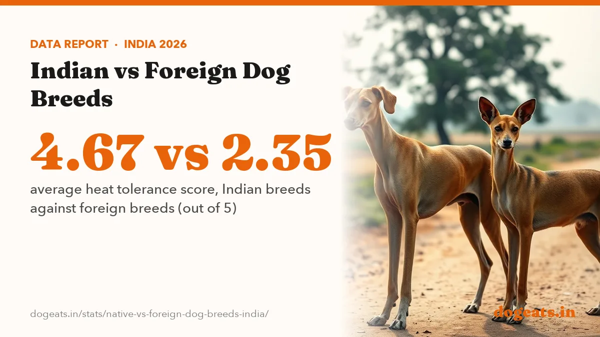 4.67 vs 2.35 average heat tolerance score, Indian breeds against foreign breeds (out of 5)