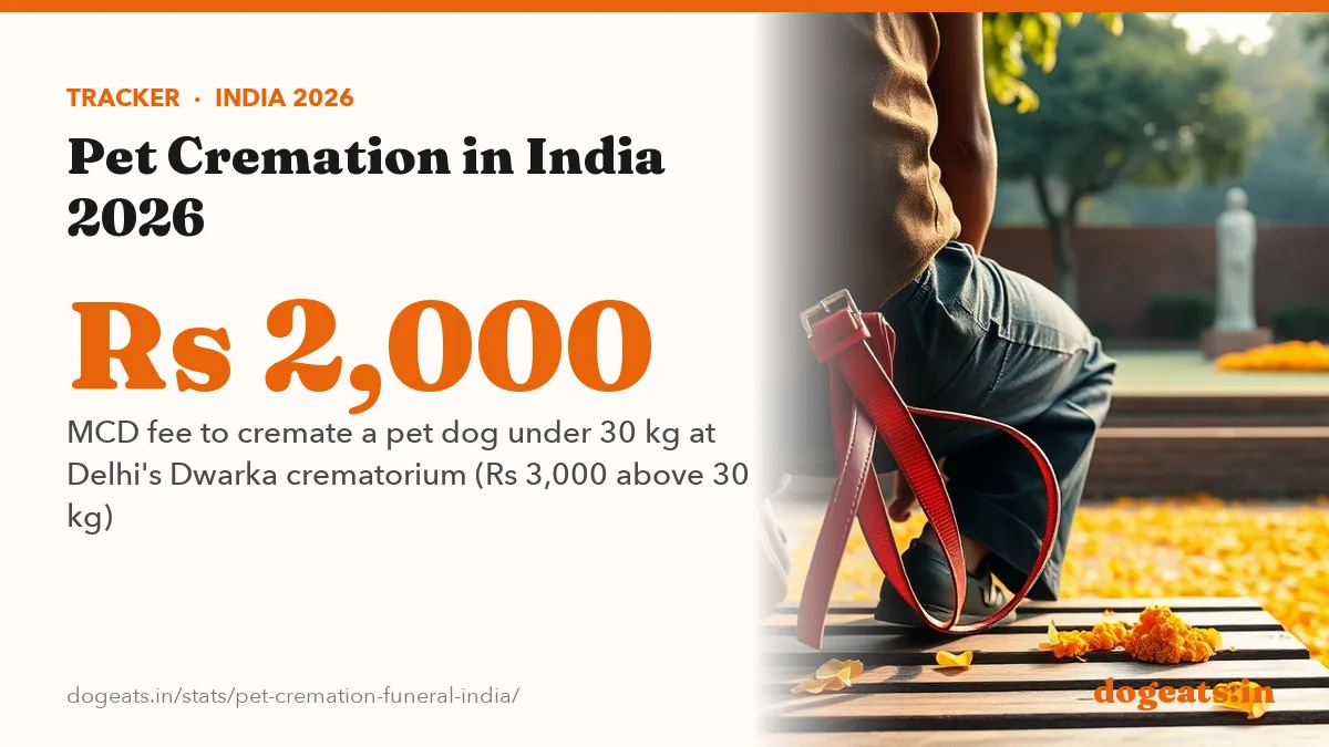 Rs 2,000 MCD fee to cremate a pet dog under 30 kg at Delhi's Dwarka crematorium (Rs 3,000 above 30 kg)