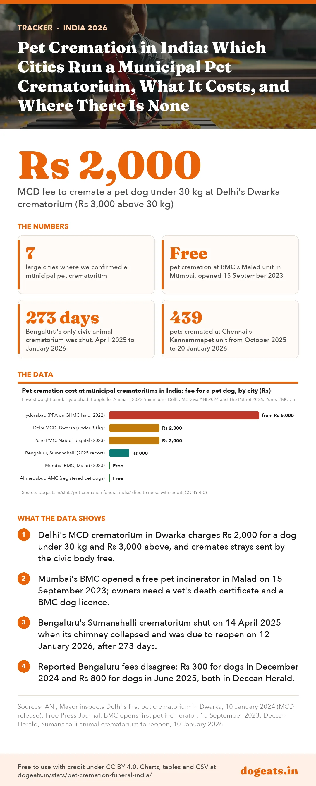 Infographic: Pet Cremation in India: Which Cities Run a Municipal Pet Crematorium, What It Costs, and Where There Is None
