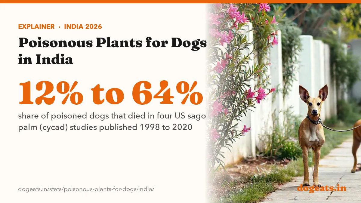 12% to 64% share of poisoned dogs that died in four US sago palm (cycad) studies published 1998 to 2020