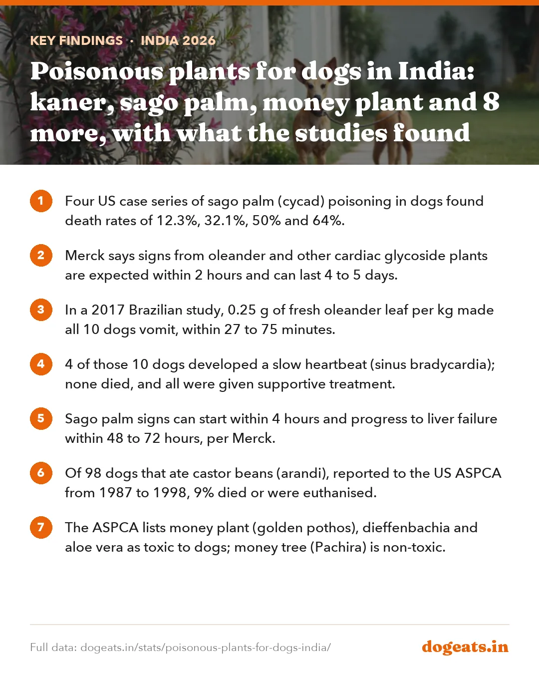 Key findings: Poisonous plants for dogs in India: kaner, sago palm, money plant and 8 more, with what the studies found