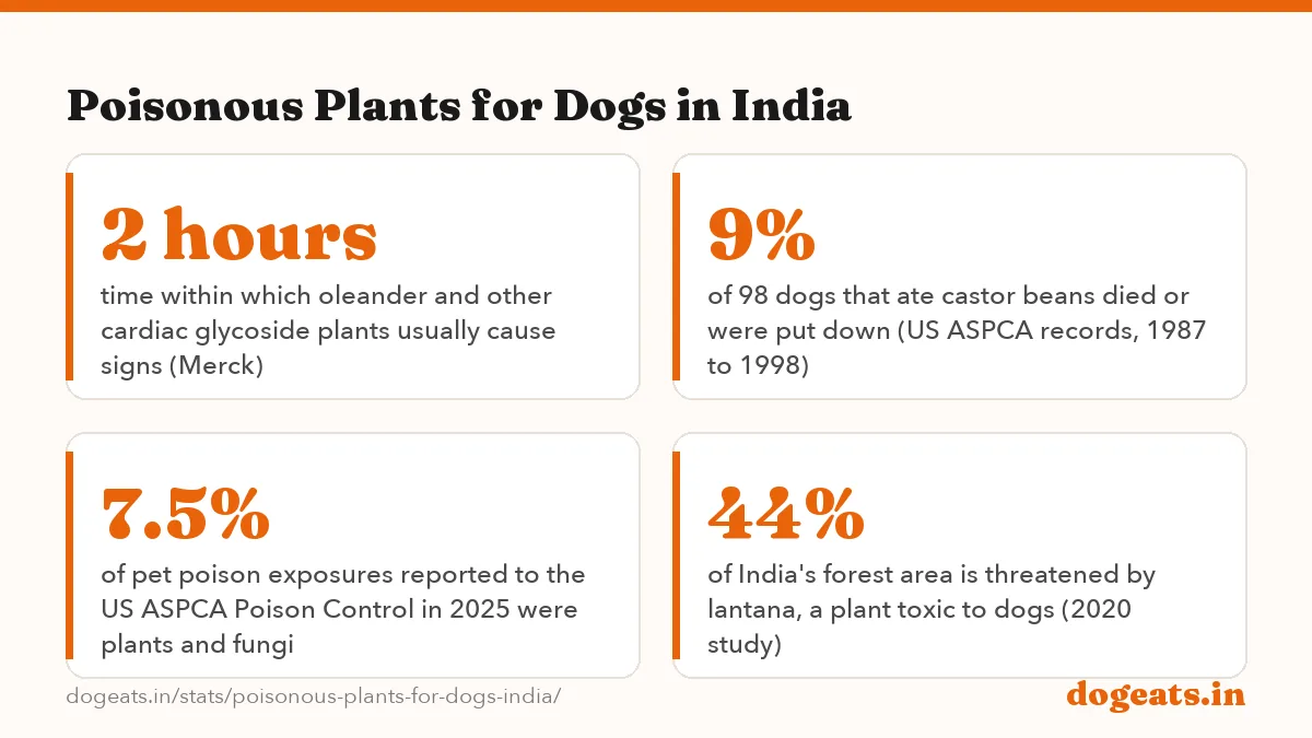 Poisonous Plants for Dogs in India: 12% to 64% share of poisoned dogs that died in four US sago palm (cycad) studies