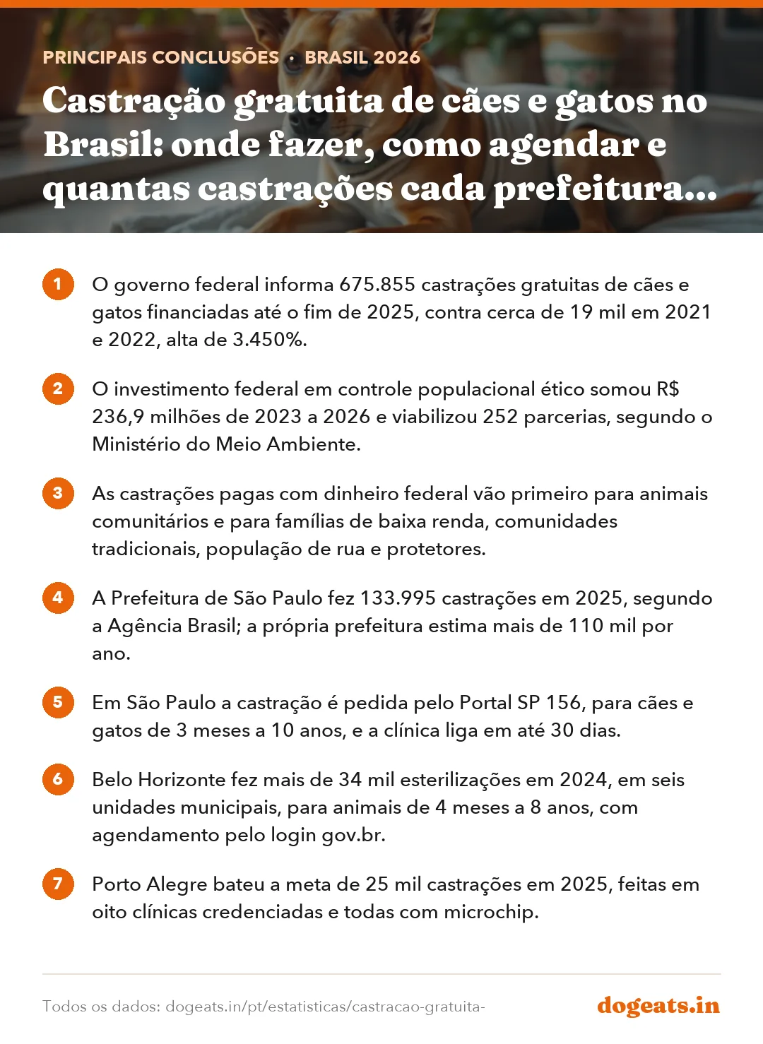 Principais conclusões: Castração gratuita de cães e gatos no Brasil: onde fazer, como agendar e quantas castrações cada prefeitura faz por ano