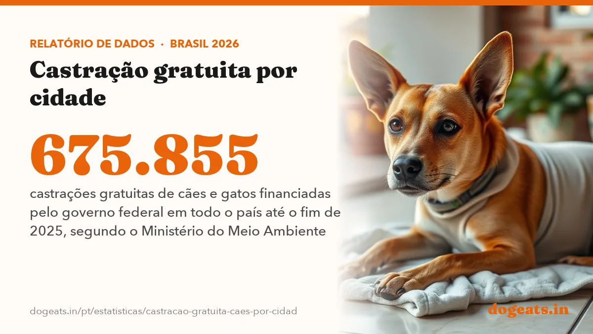 675.855 castrações gratuitas de cães e gatos financiadas pelo governo federal em todo o país até o fim de 2025, segundo o Ministério do Meio Ambiente
