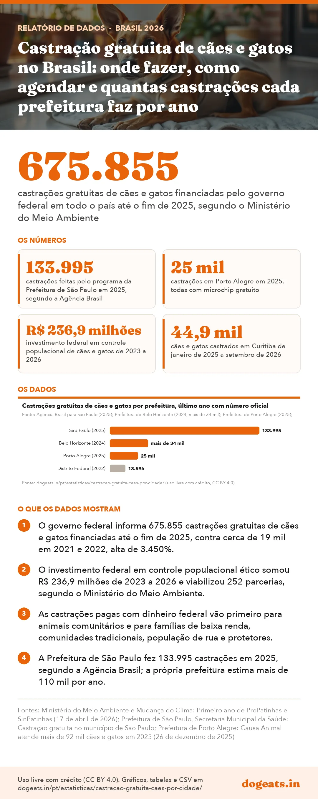 Infográfico: Castração gratuita de cães e gatos no Brasil: onde fazer, como agendar e quantas castrações cada prefeitura faz por ano