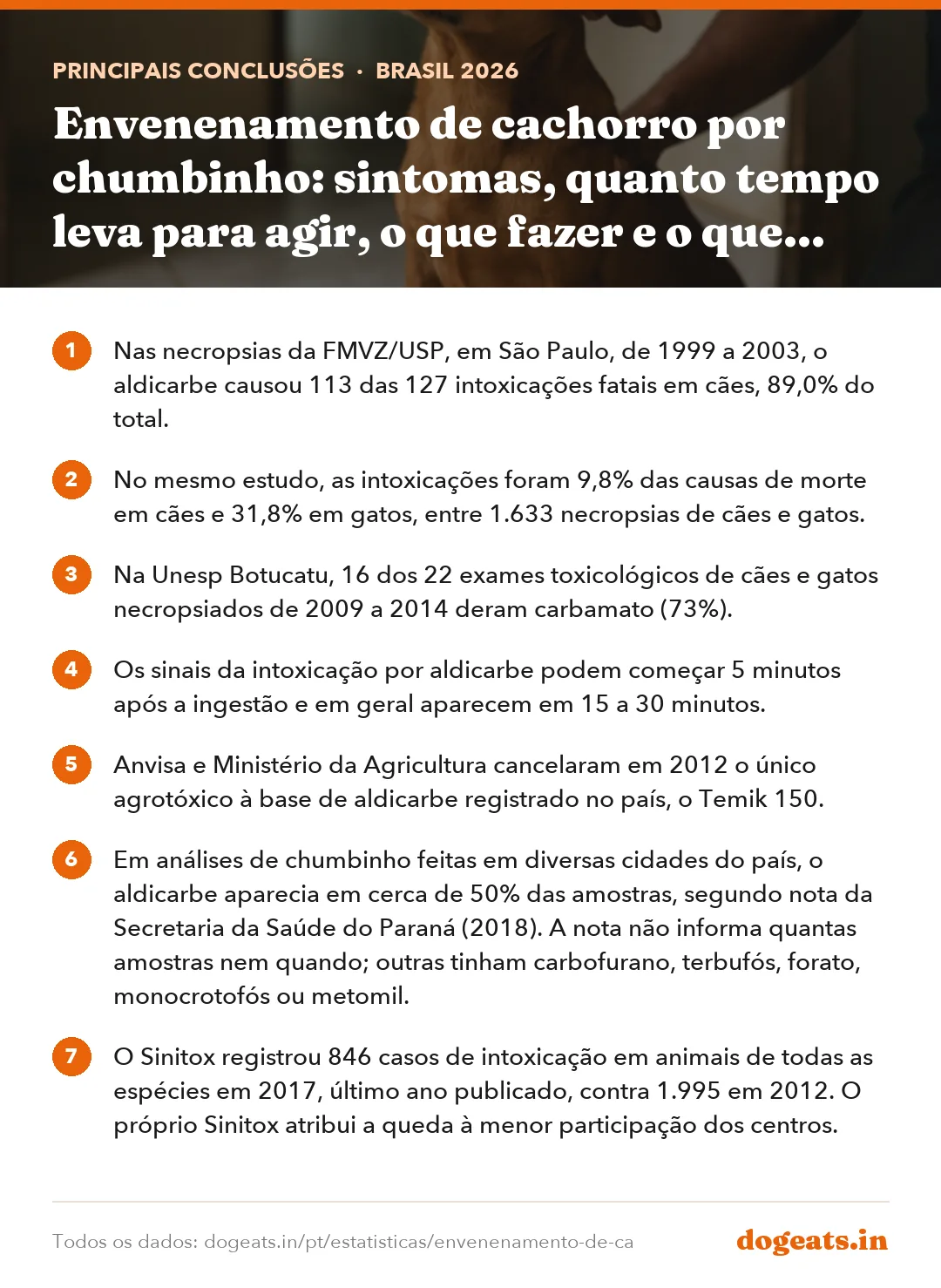 Principais conclusões: Envenenamento de cachorro por chumbinho: sintomas, quanto tempo leva para agir, o que fazer e o que dizem os estudos brasileiros