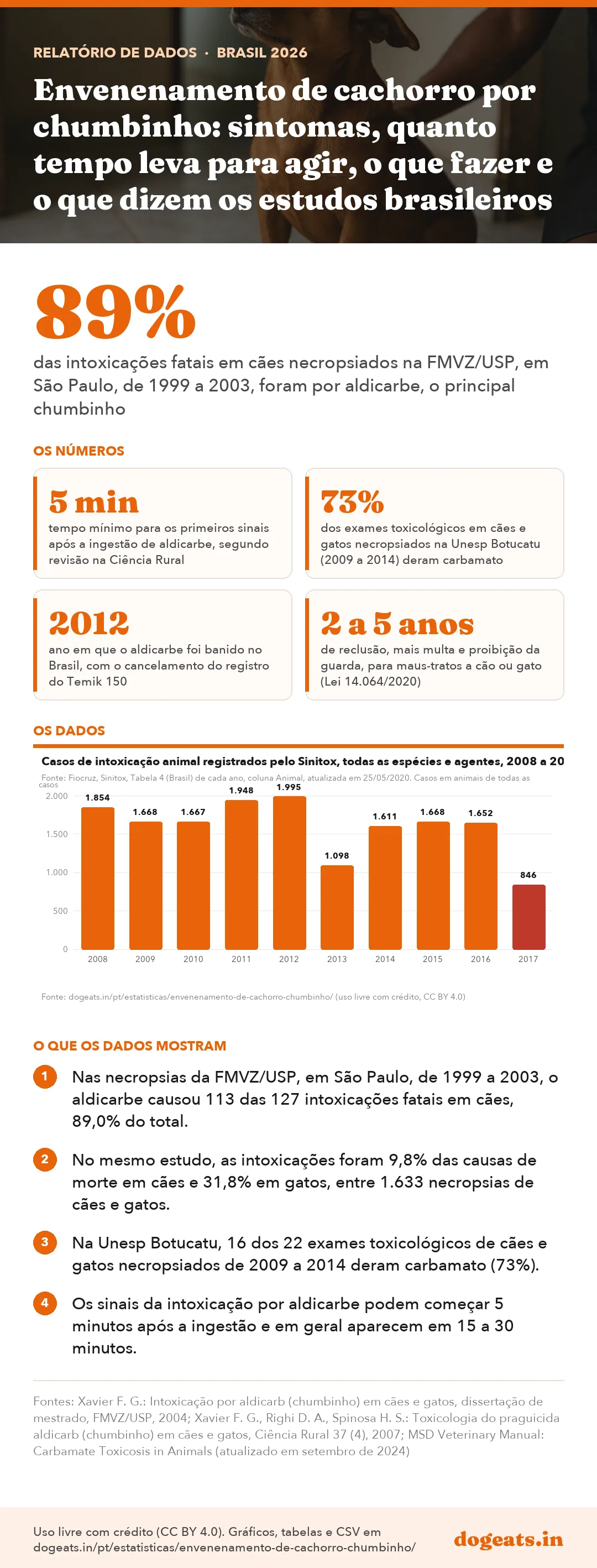 Infográfico: Envenenamento de cachorro por chumbinho: sintomas, quanto tempo leva para agir, o que fazer e o que dizem os estudos brasileiros