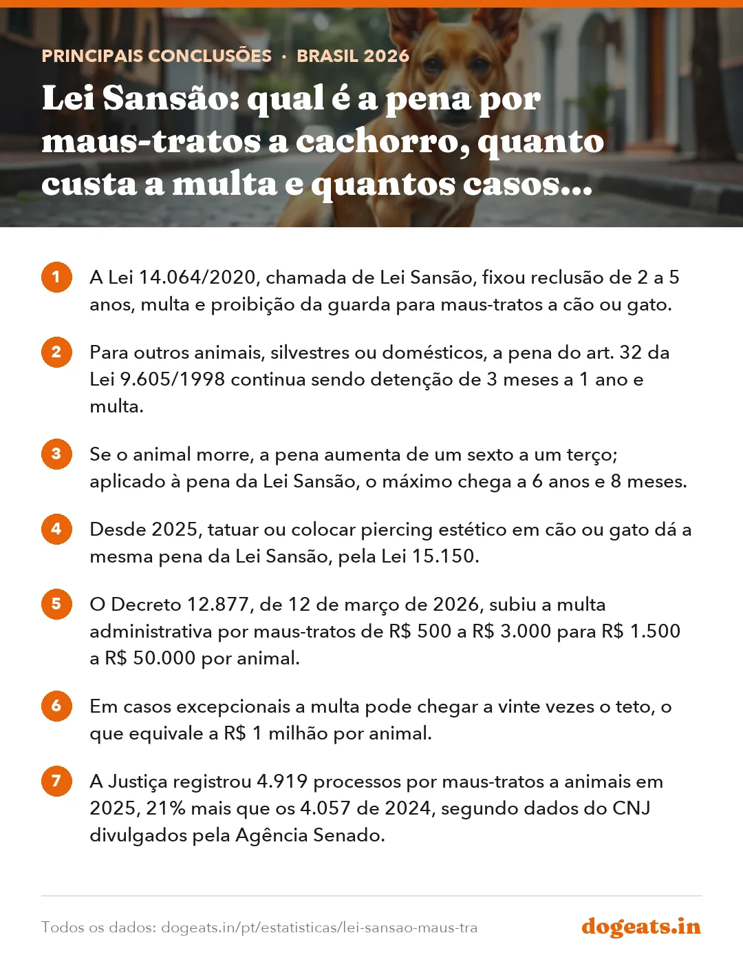 Principais conclusões: Lei Sansão: qual é a pena por maus-tratos a cachorro, quanto custa a multa e quantos casos chegam à polícia e à Justiça