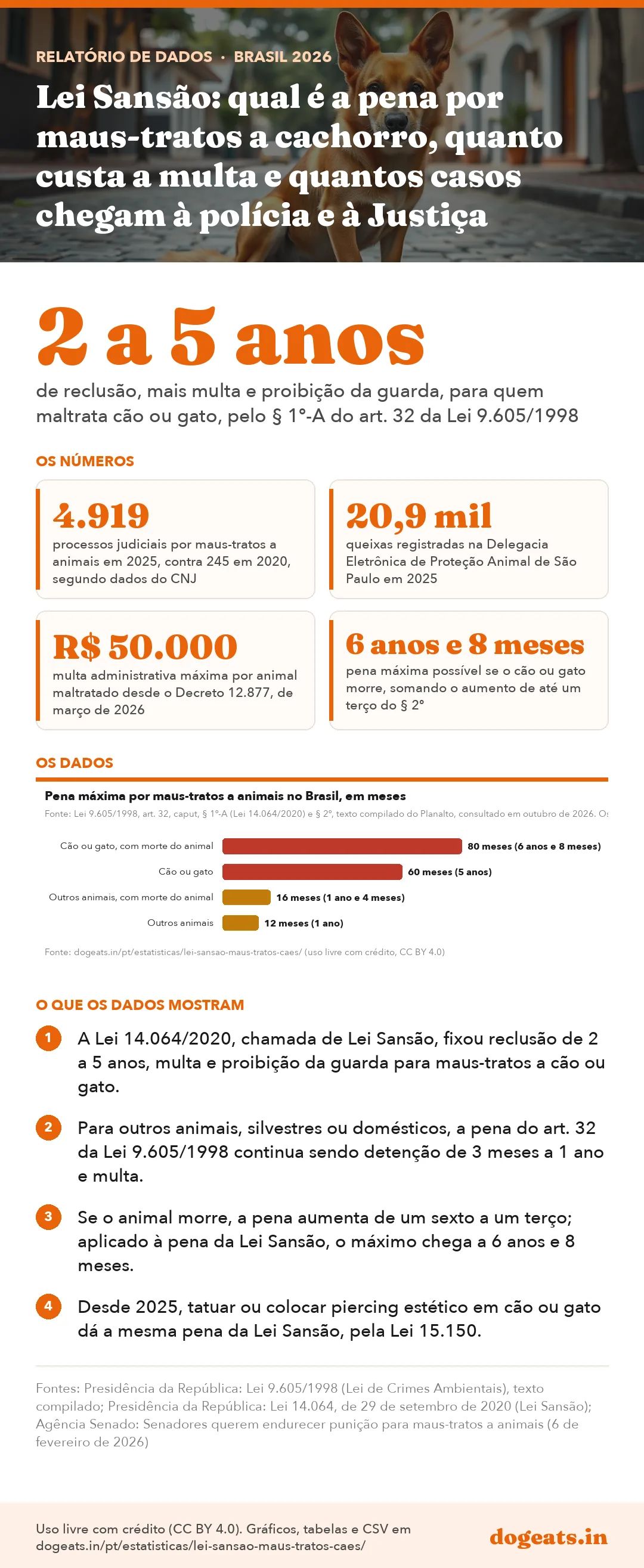 Infográfico: Lei Sansão: qual é a pena por maus-tratos a cachorro, quanto custa a multa e quantos casos chegam à polícia e à Justiça