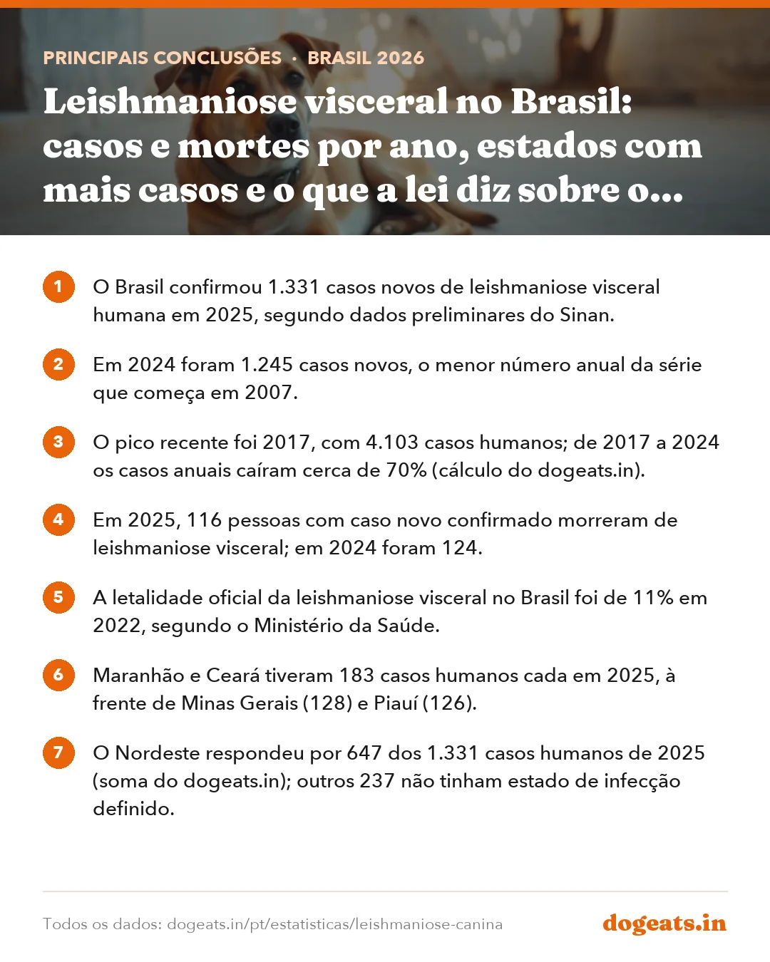 Principais conclusões: Leishmaniose visceral no Brasil: casos e mortes por ano, estados com mais casos e o que a lei diz sobre o cachorro com leishmaniose