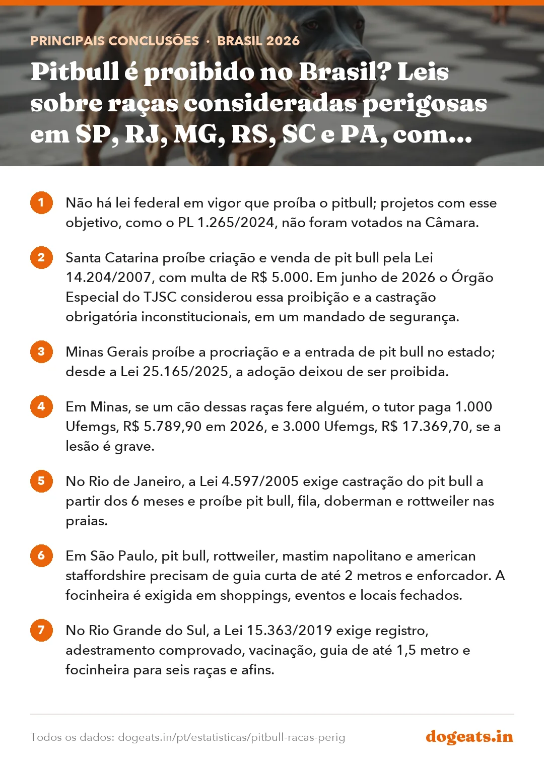 Principais conclusões: Pitbull é proibido no Brasil? Leis sobre raças consideradas perigosas em SP, RJ, MG, RS, SC e PA, com focinheira, idade do condutor e multas em 2026
