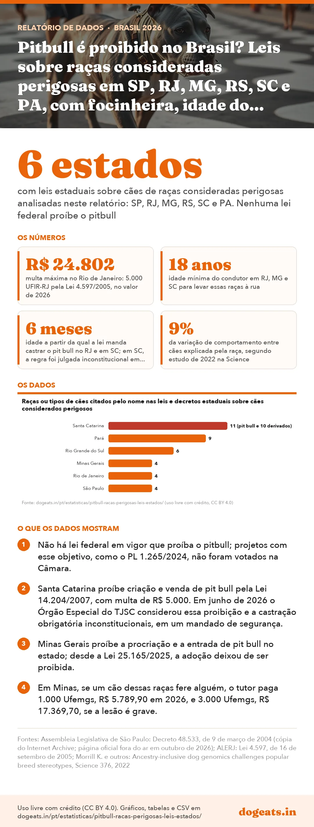 Infográfico: Pitbull é proibido no Brasil? Leis sobre raças consideradas perigosas em SP, RJ, MG, RS, SC e PA, com focinheira, idade do condutor e multas em 2026