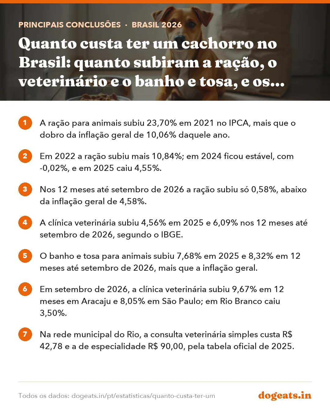 Principais conclusões: Quanto custa ter um cachorro no Brasil: quanto subiram a ração, o veterinário e o banho e tosa, e os preços que órgãos públicos publicam