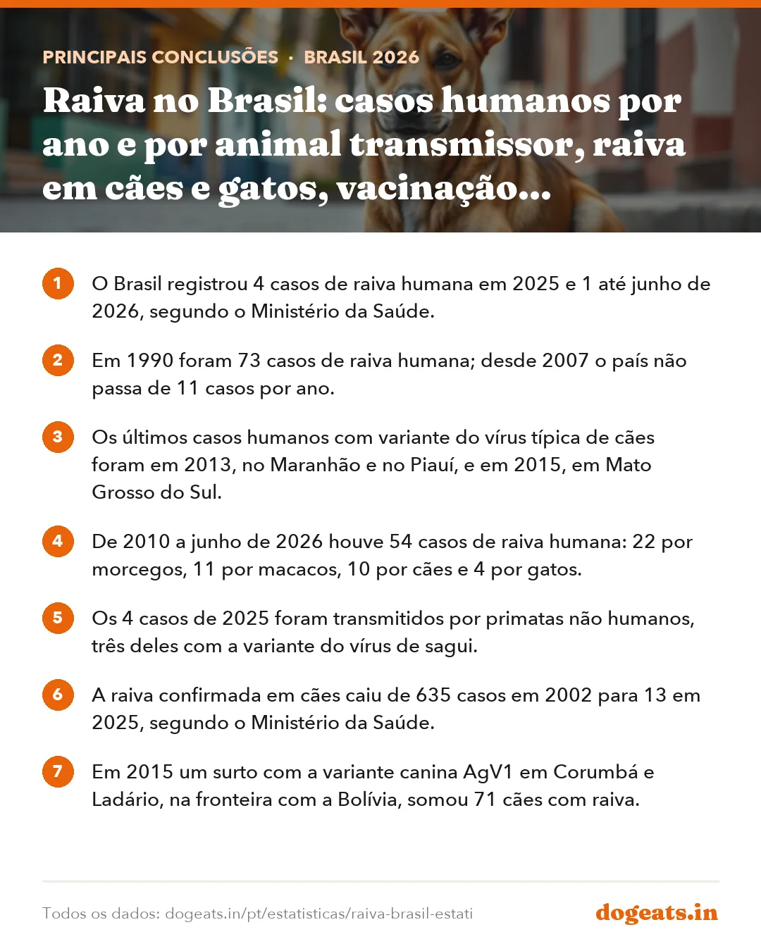 Principais conclusões: Raiva no Brasil: casos humanos por ano e por animal transmissor, raiva em cães e gatos, vacinação antirrábica e atendimentos após mordidas
