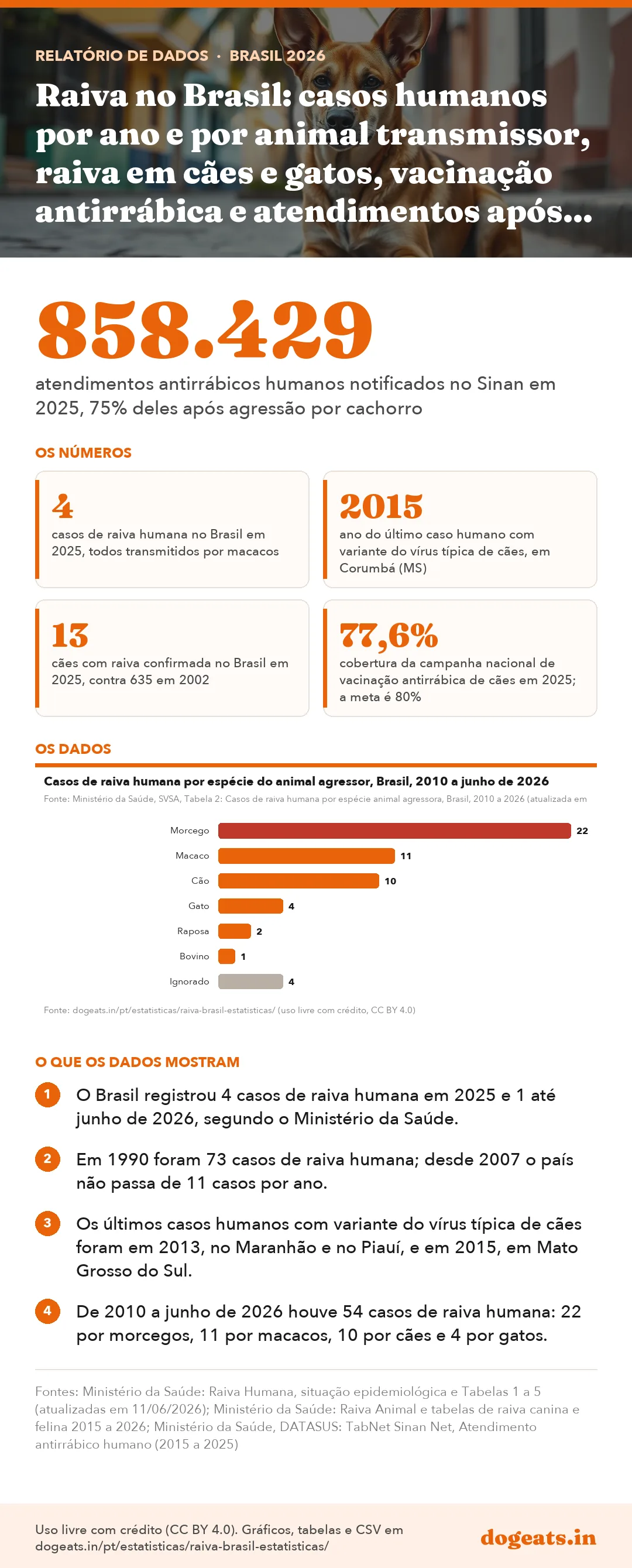 Infográfico: Raiva no Brasil: casos humanos por ano e por animal transmissor, raiva em cães e gatos, vacinação antirrábica e atendimentos após mordidas