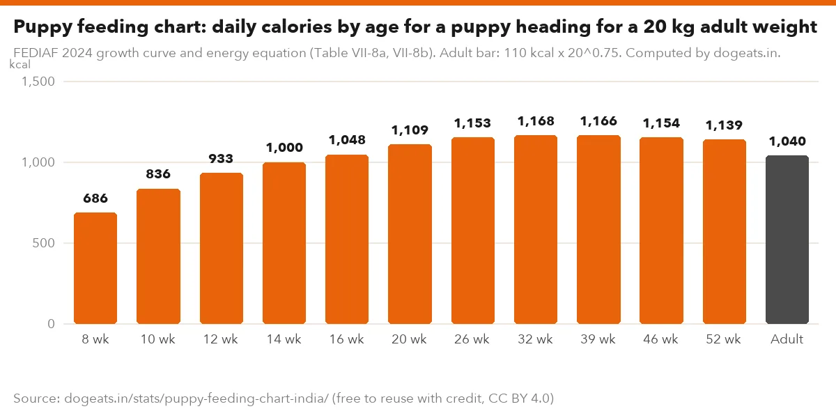 Puppy feeding chart: daily calories by age for a puppy heading for a 20 kg adult weight