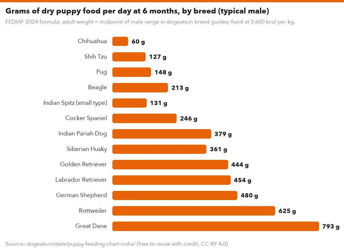 Grams of dry puppy food per day at 6 months, by breed (typical male)