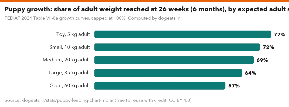 Puppy growth: share of adult weight reached at 26 weeks (6 months), by expected adult size