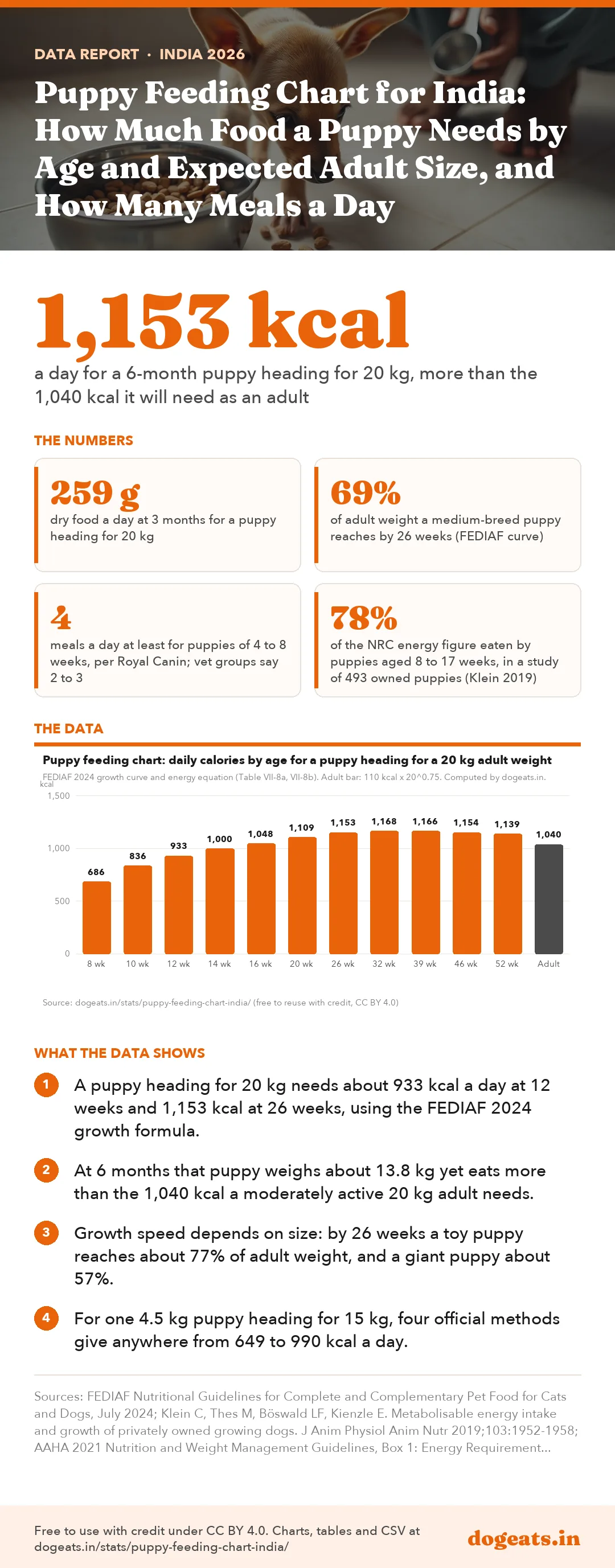 Infographic: Puppy Feeding Chart for India: How Much Food a Puppy Needs by Age and Expected Adult Size, and How Many Meals a Day