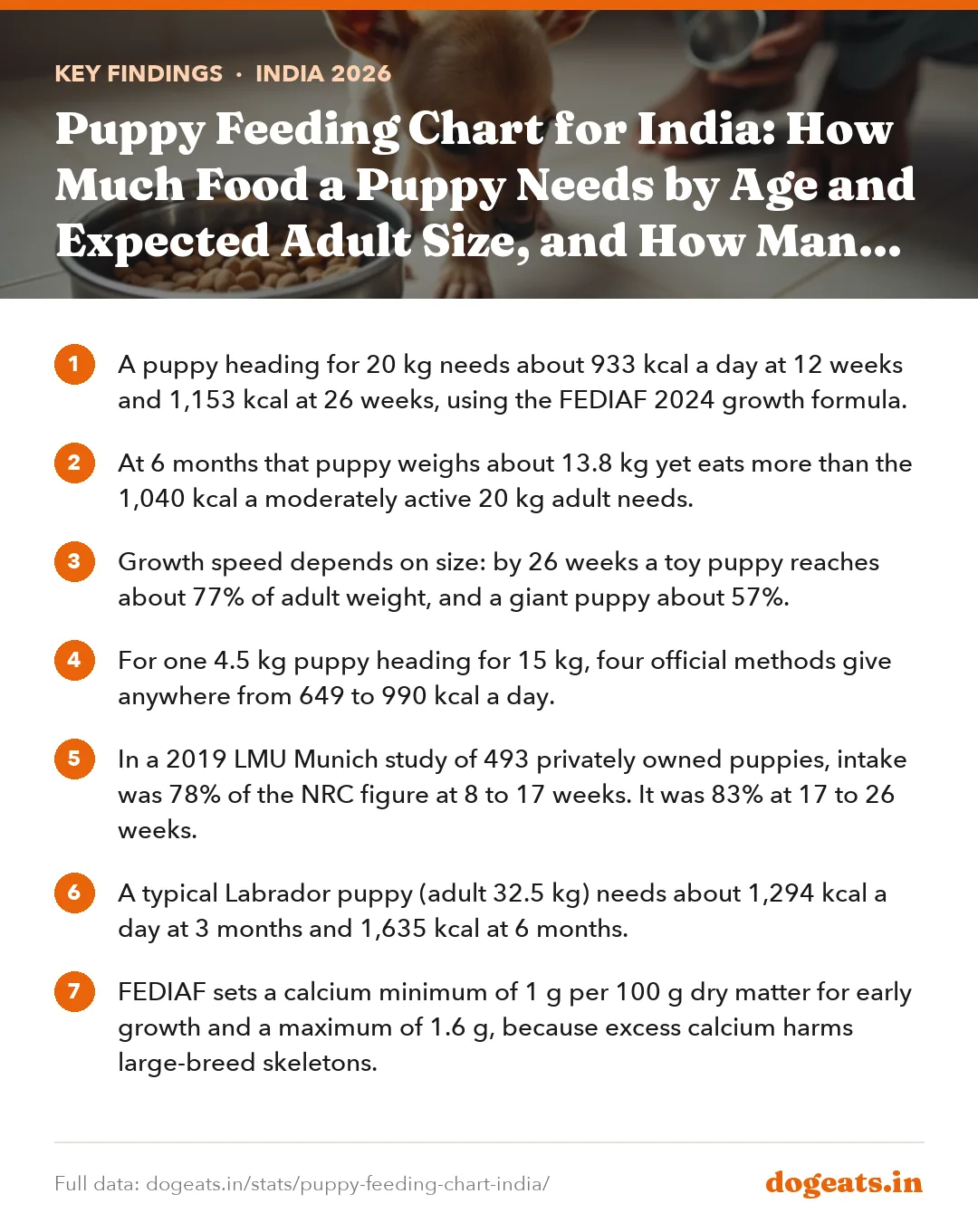 Key findings: Puppy Feeding Chart for India: How Much Food a Puppy Needs by Age and Expected Adult Size, and How Many Meals a Day