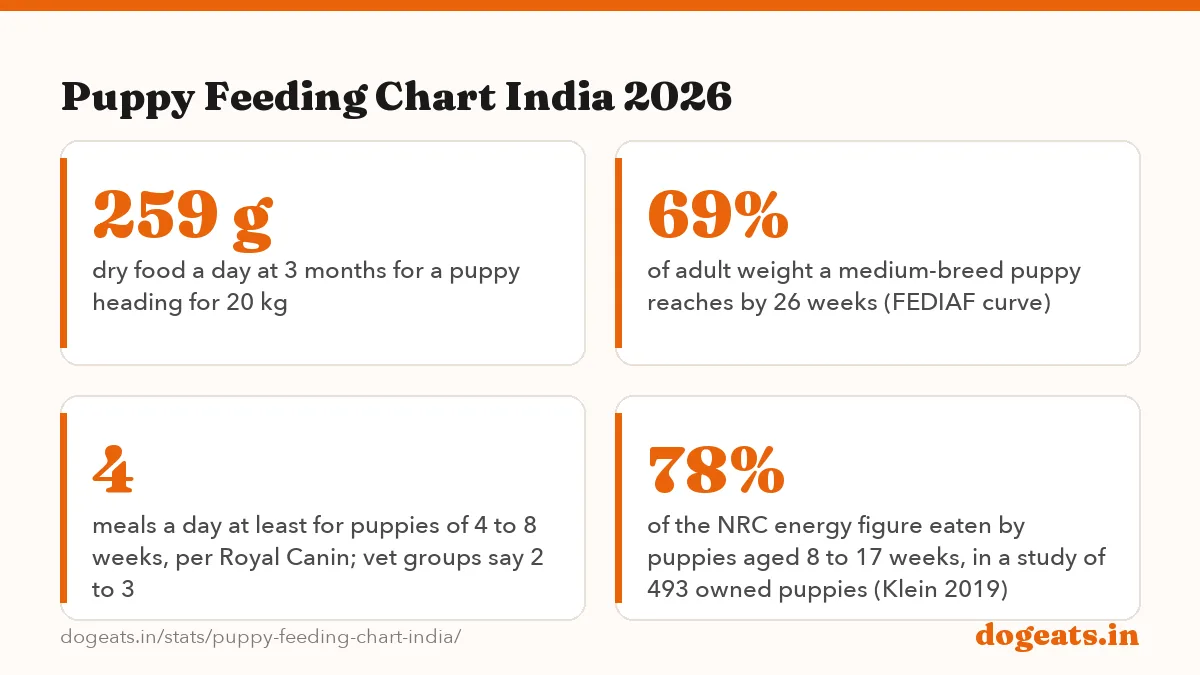 Puppy Feeding Chart India 2026: 1,153 kcal a day for a 6-month puppy heading for 20 kg, more than the 1,040 kcal