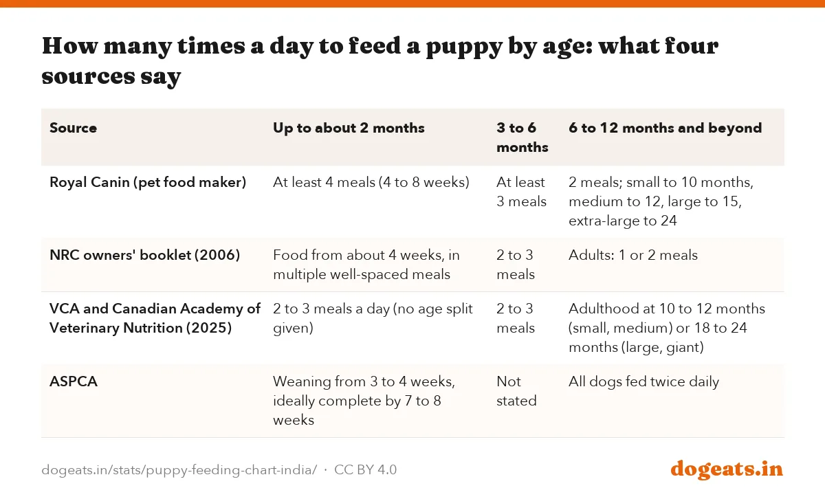 How many times a day to feed a puppy by age: what four sources say