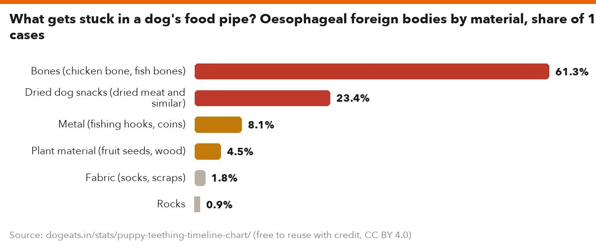What gets stuck in a dog's food pipe? Oesophageal foreign bodies by material, share of 111 cases