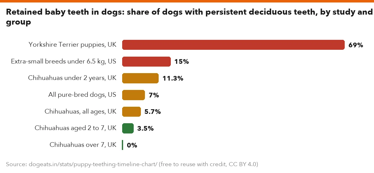 Retained baby teeth in dogs: share of dogs with persistent deciduous teeth, by study and group