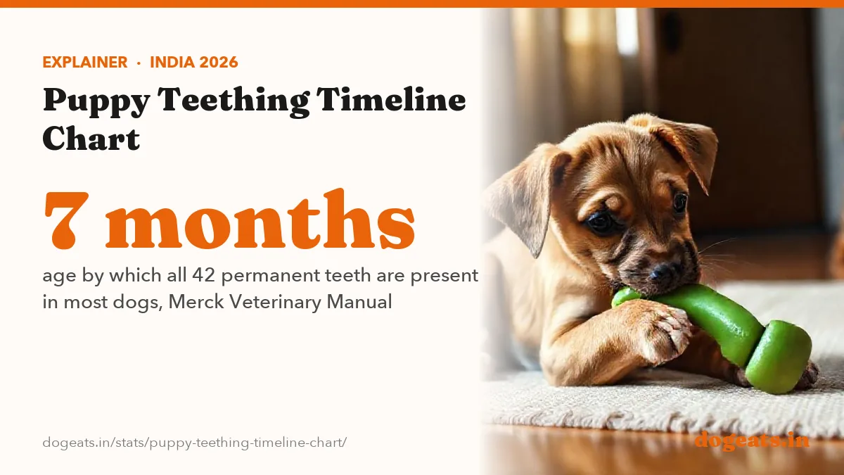7 months age by which all 42 permanent teeth are present in most dogs, Merck Veterinary Manual