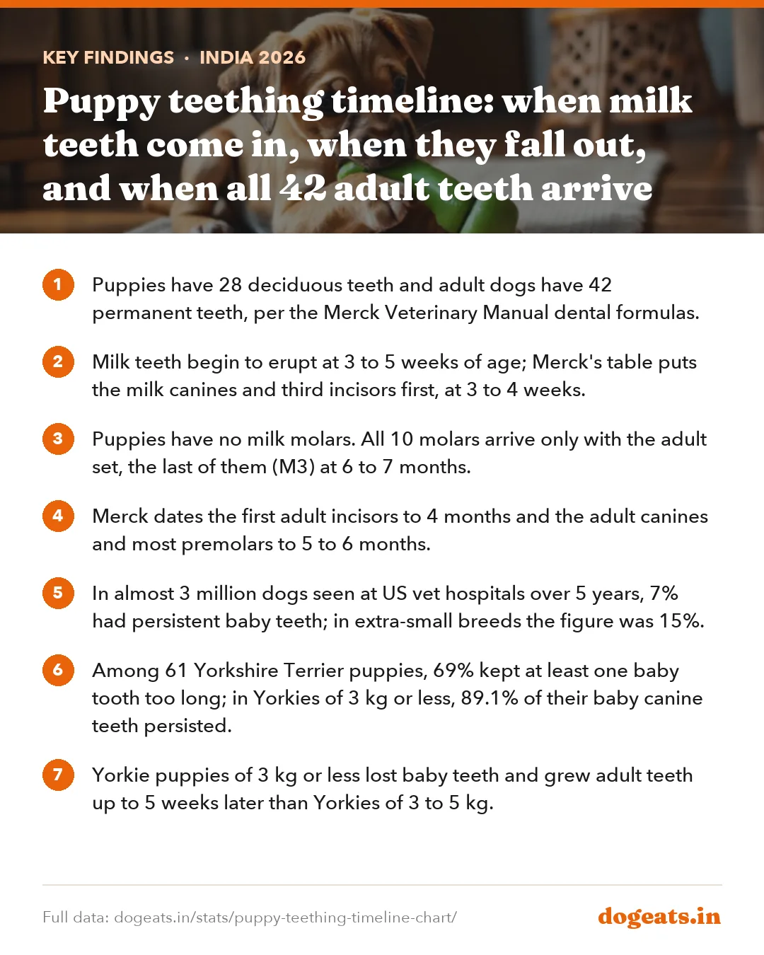 Key findings: Puppy teething timeline: when milk teeth come in, when they fall out, and when all 42 adult teeth arrive