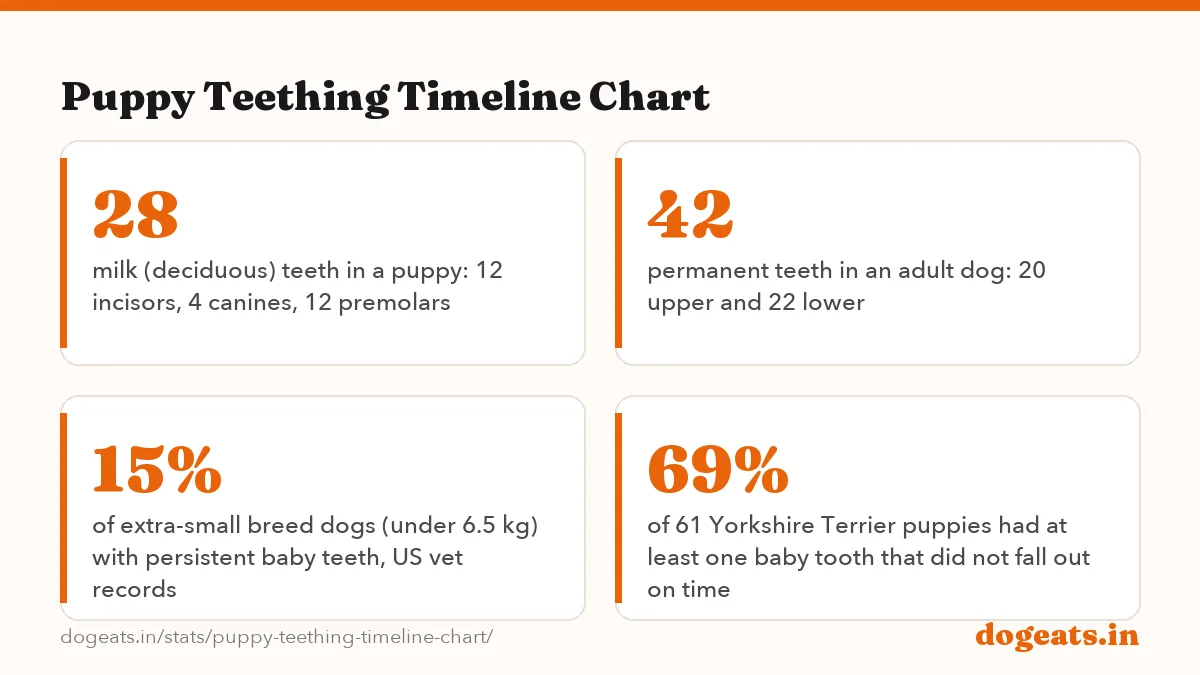 Puppy Teething Timeline Chart: 7 months age by which all 42 permanent teeth are present in most dogs, Merck Veterinary Manual