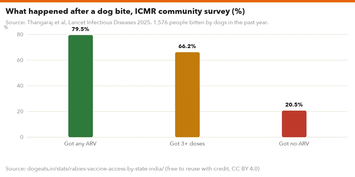 What happened after a dog bite, ICMR community survey (%)